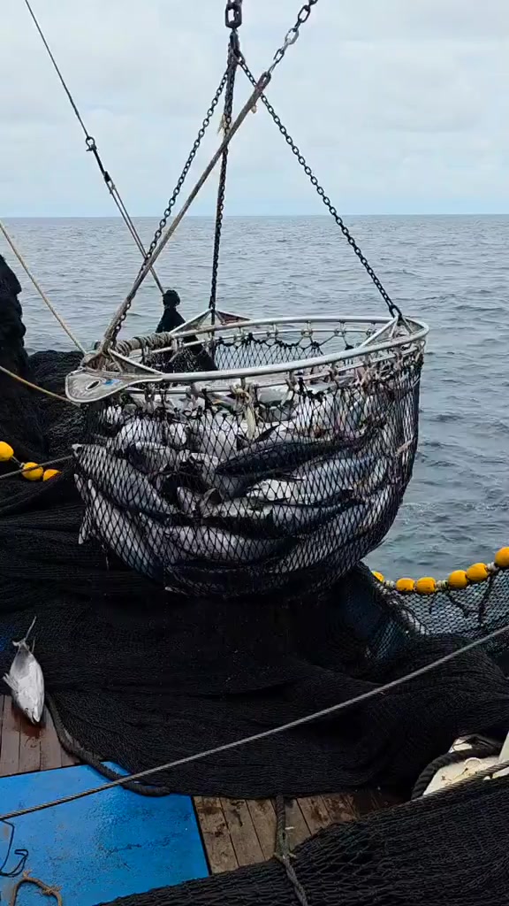 @🚢hàmìdø⚓⚡Ræysë🐬🏴☠️