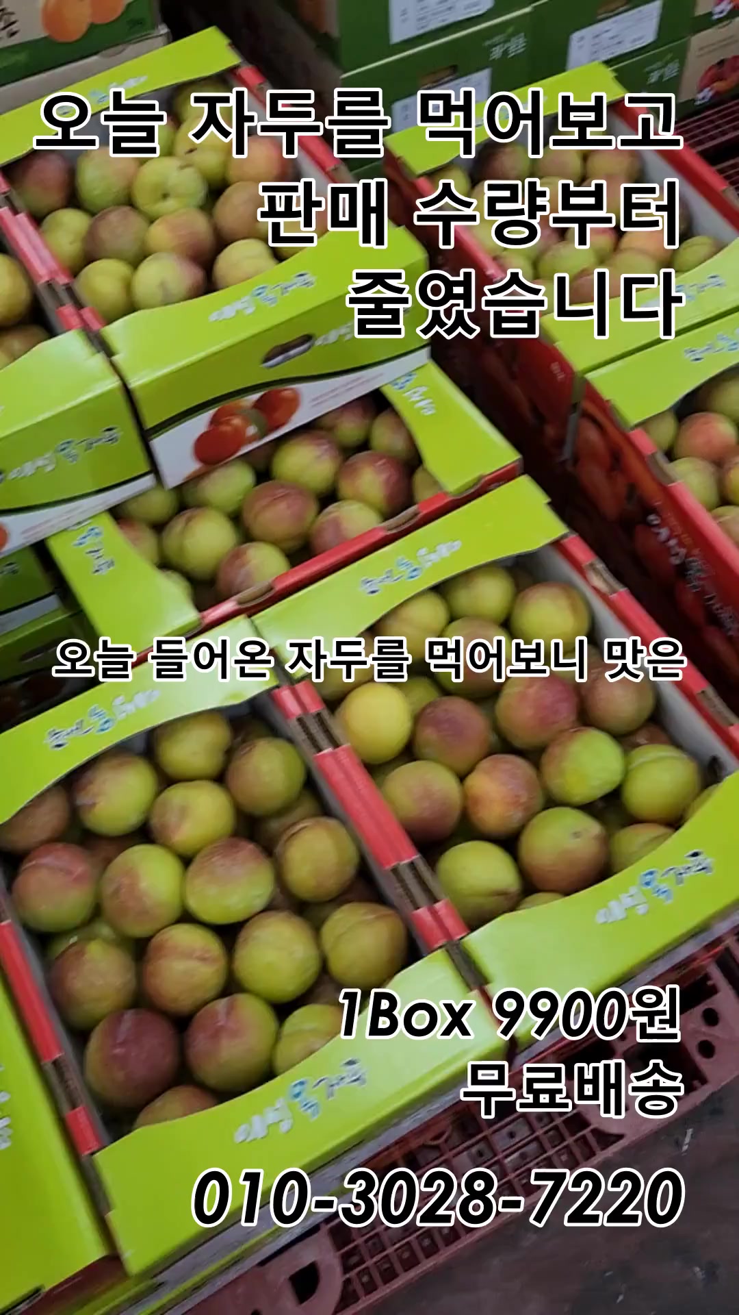 @새콤과일장터