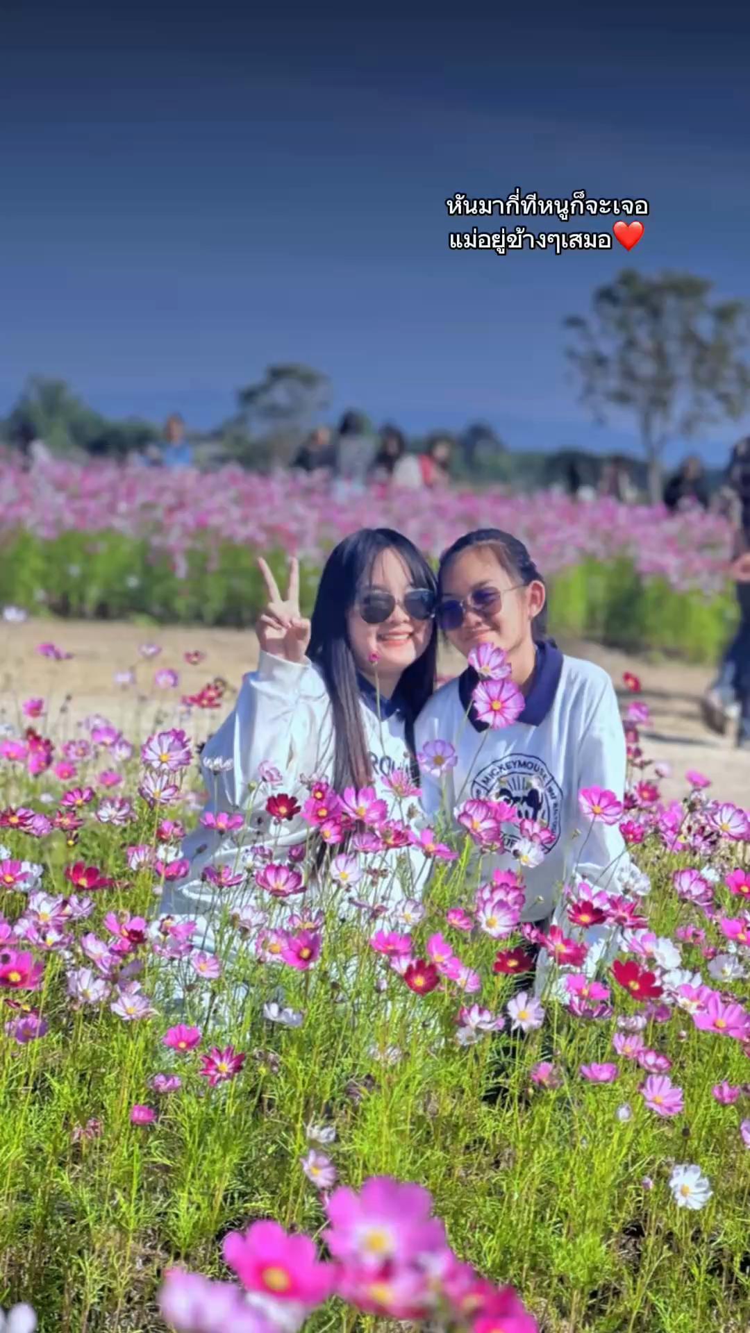 @ยายนุ่น😶🌫️(191 | N•U•N)