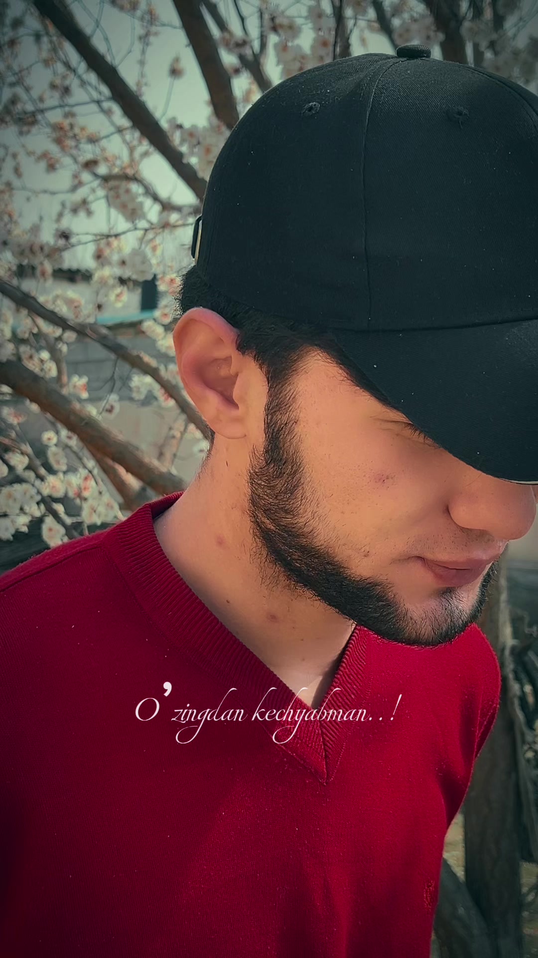 @_vigiteryan__