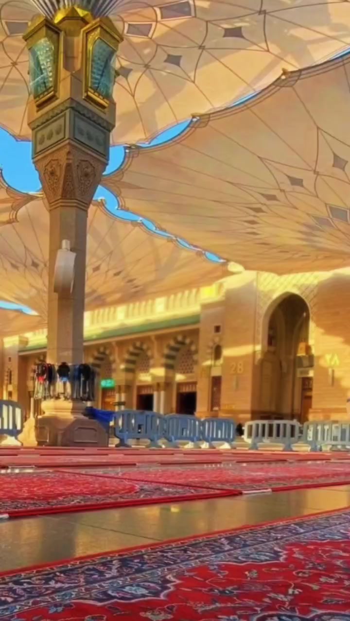 @Rhizaeldef 🇸🇦 🇲🇨