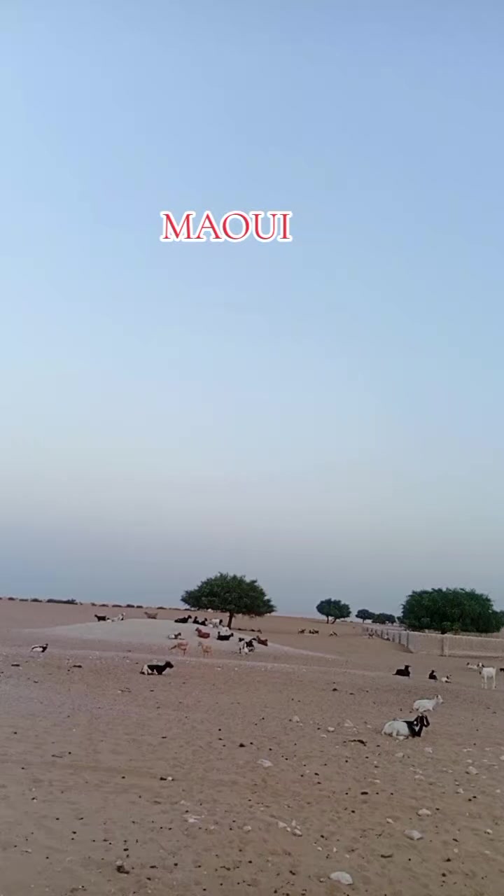 @Voix du Konoum