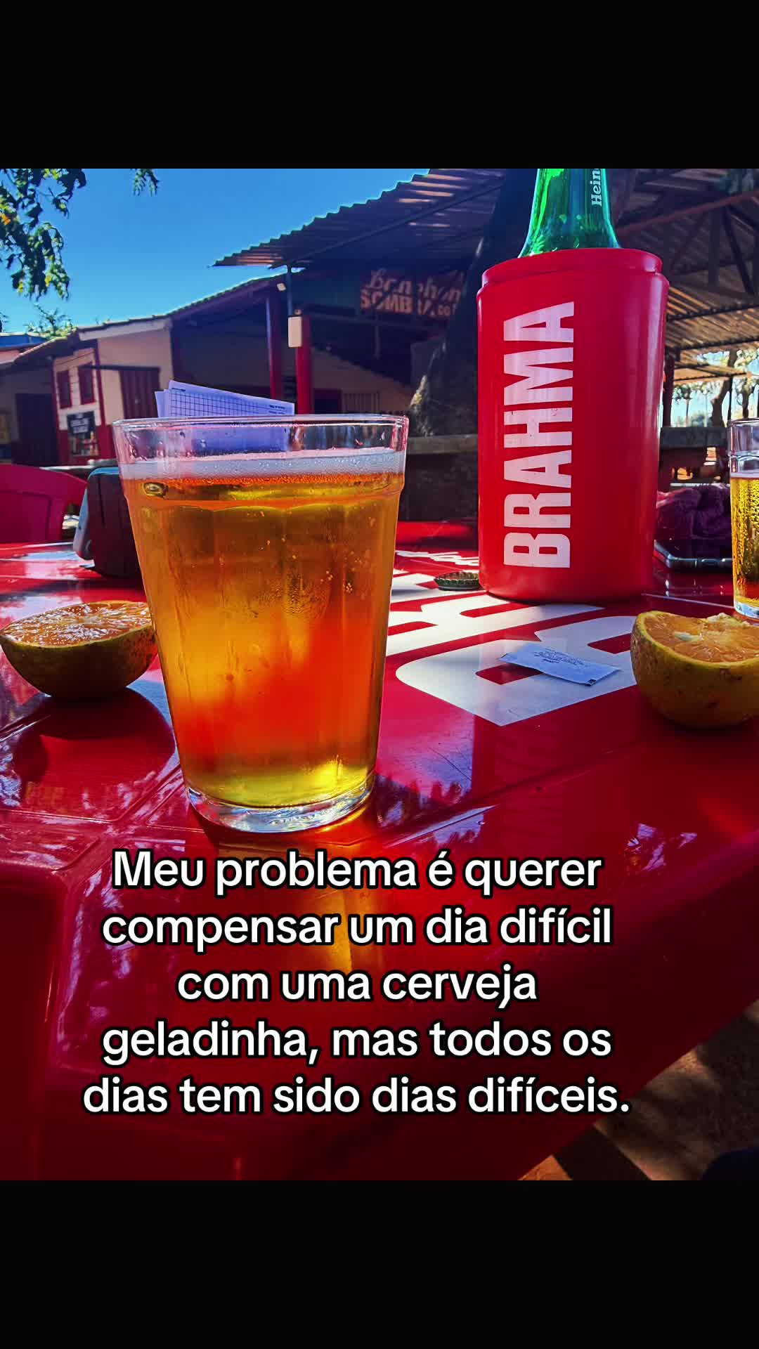 @Layanne Rodrigues