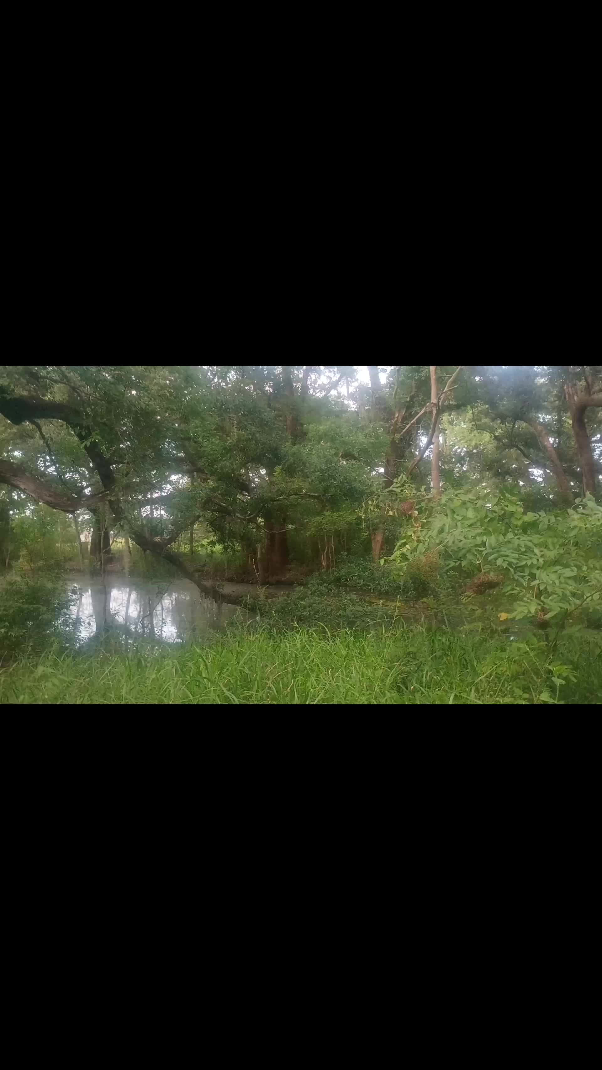 @foxandfernfilmco