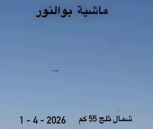 @thamer.alfadel