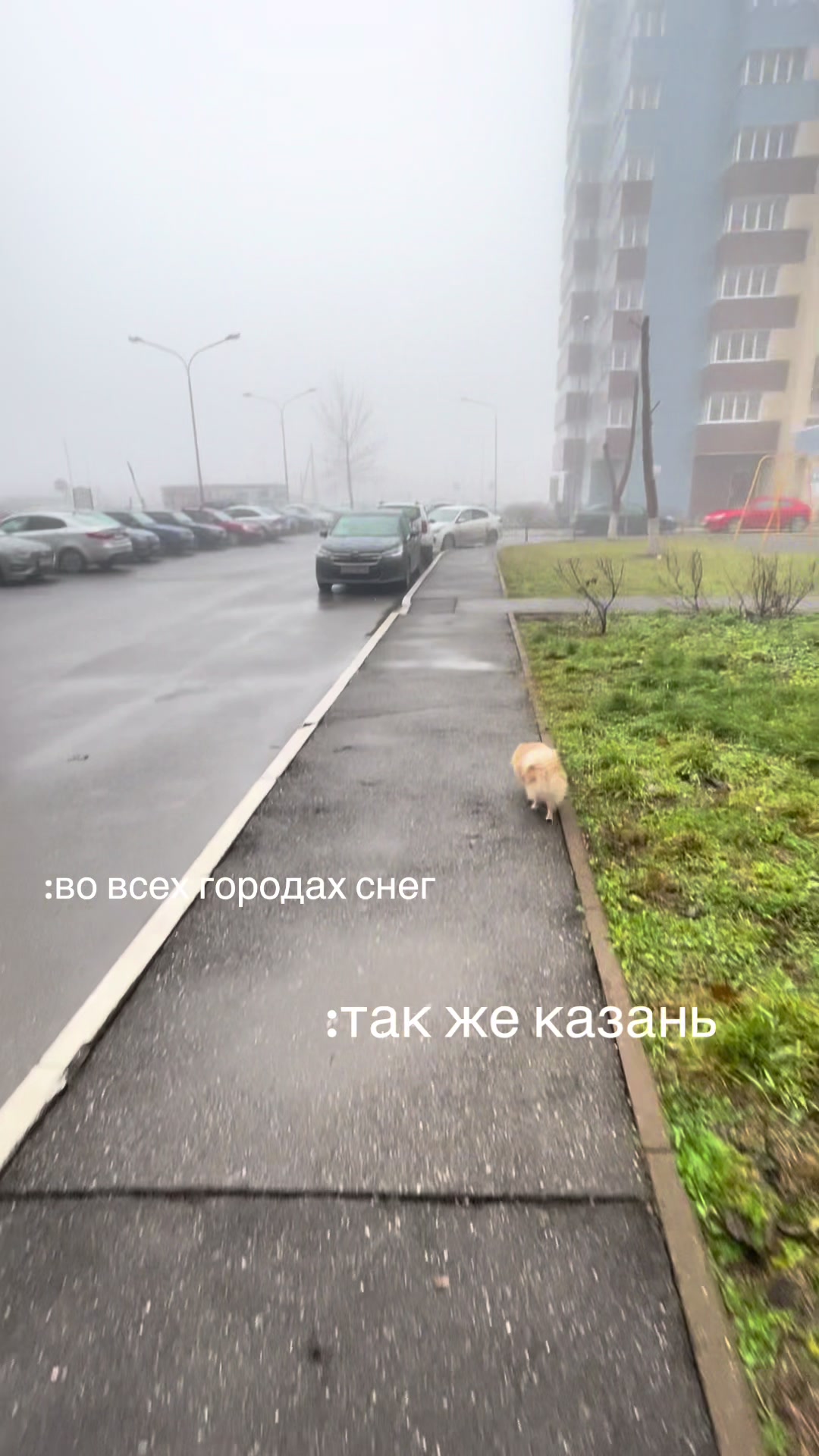@тгк:дам да дарарарам 💘