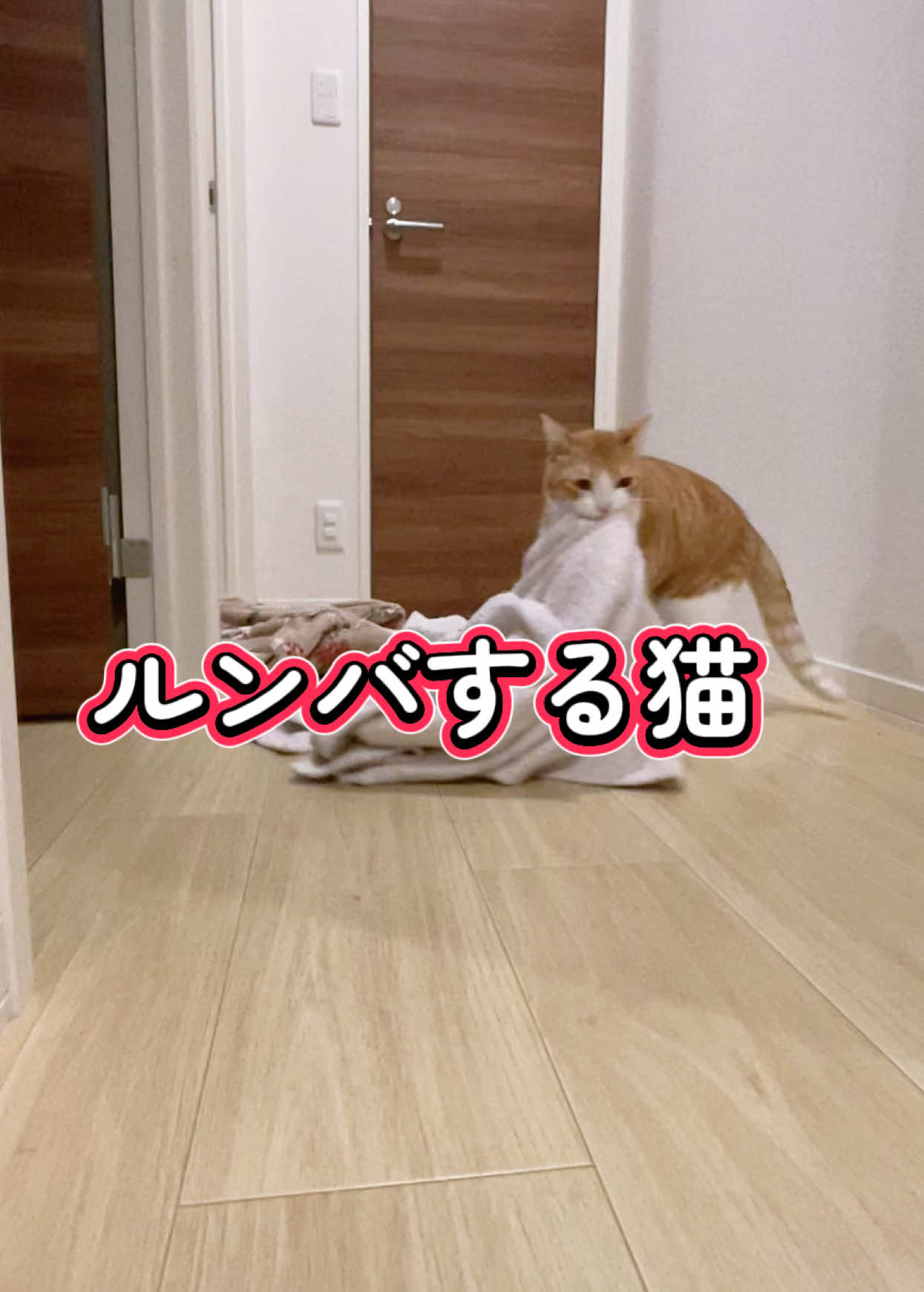 @みーこchannel