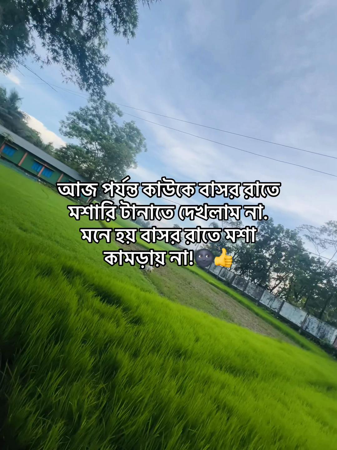@টিক-টিকি