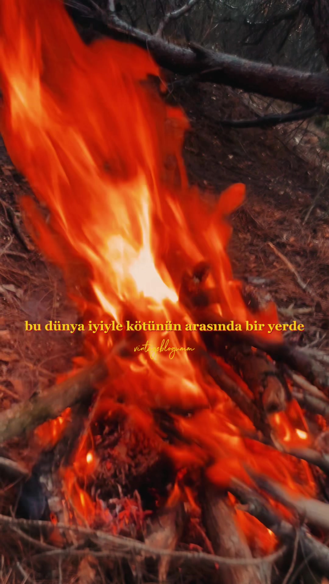 @Serdar UÇAR