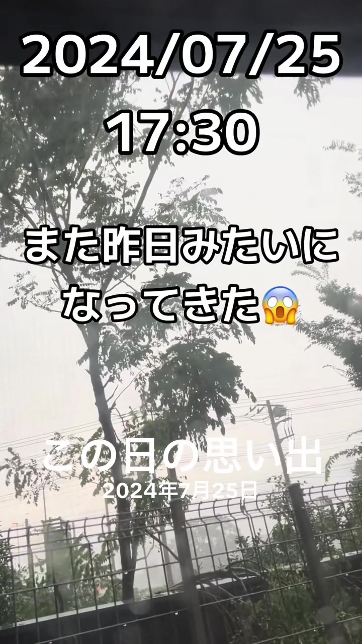 @🐈もこぶん🎸