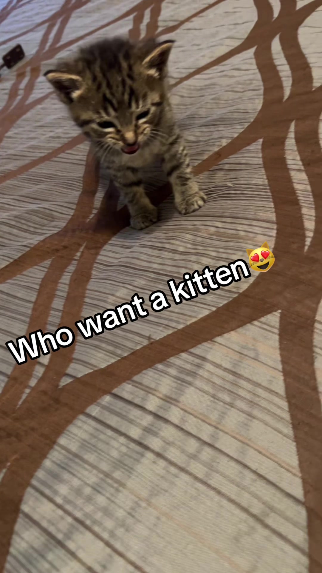 @KingNaijja