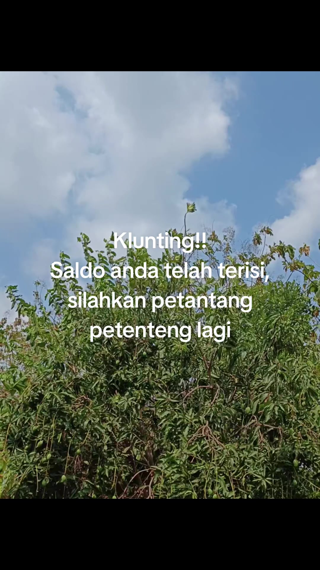@ꪑꪖ᭙ꪖꪀ⚡