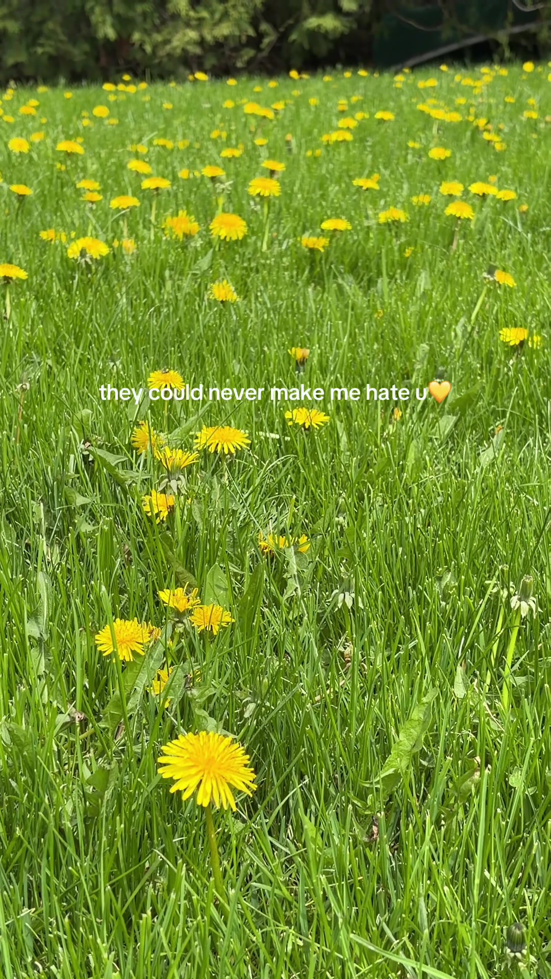 @julia💚 THE PLANT GIRL