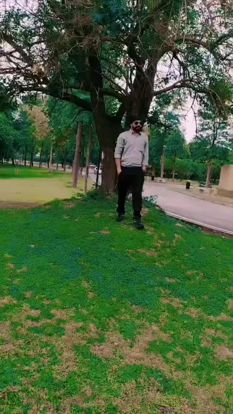@Pal Sekhon