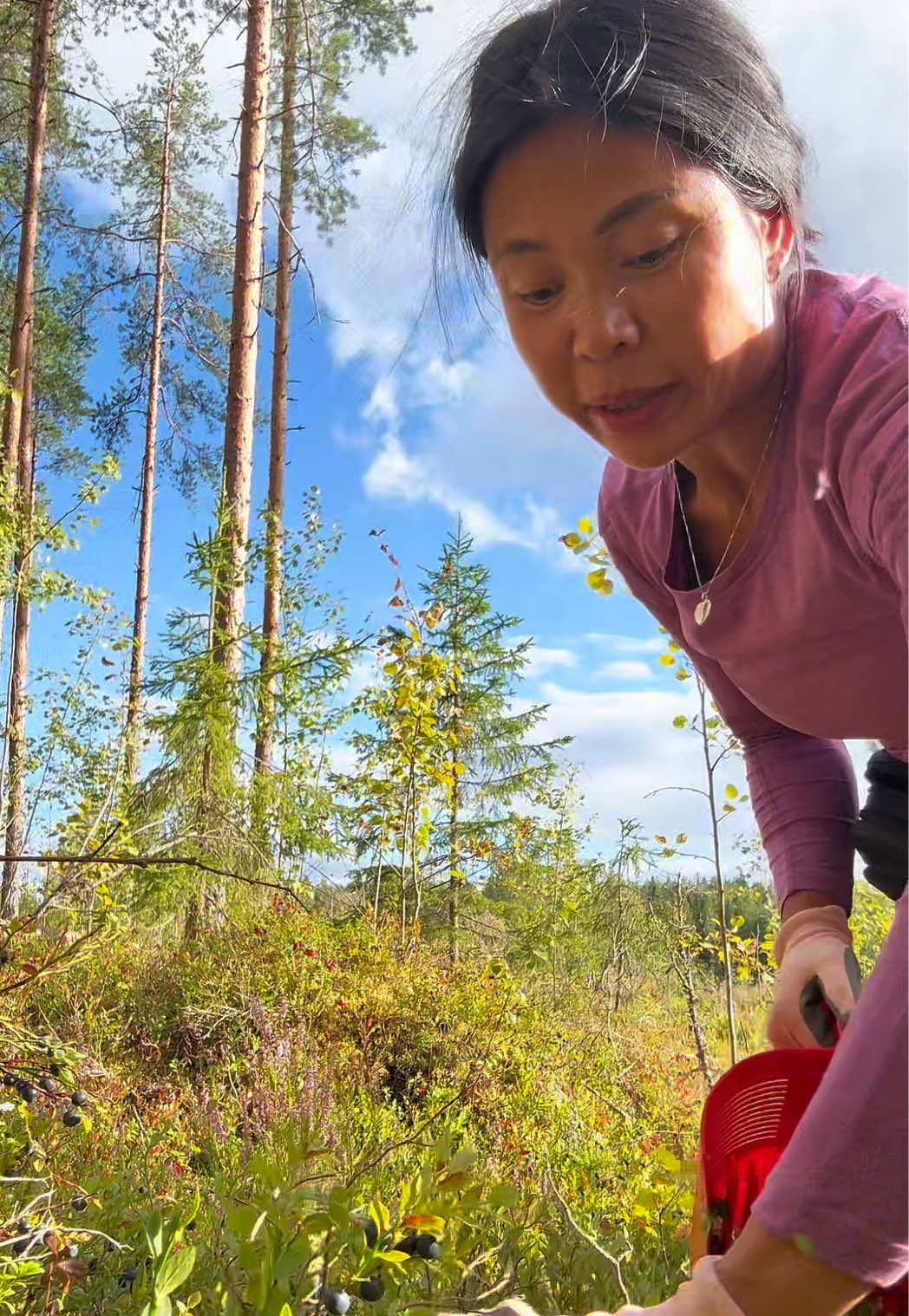 @Phuong Tran 🇻🇳 🇫🇮