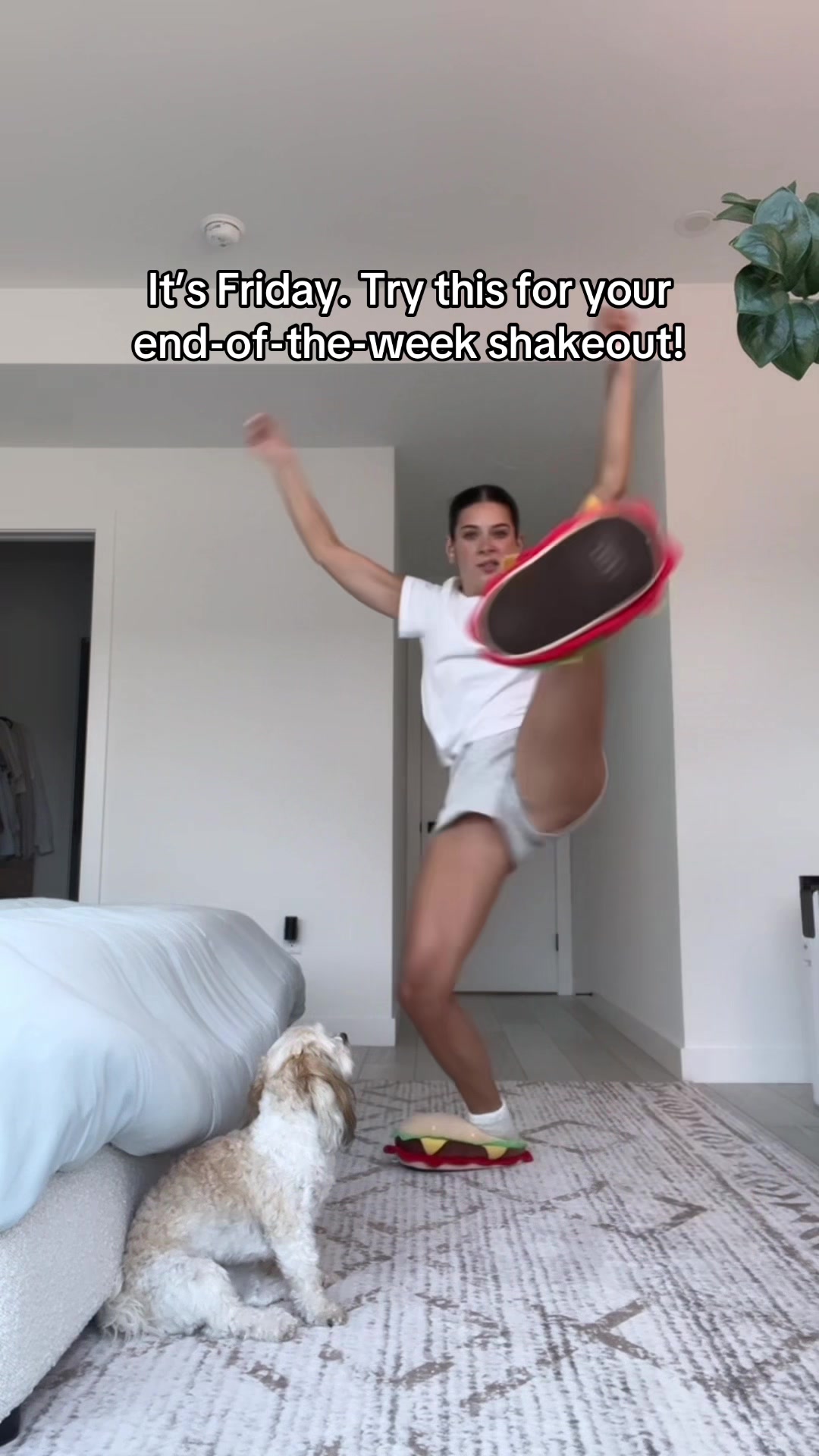 @ShelbyMorisseau