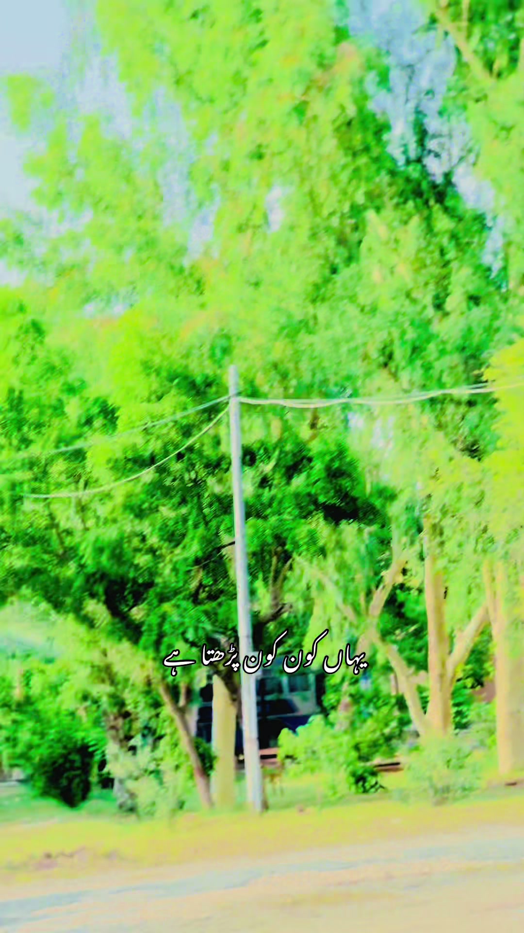 @🔥 آدھی کوٹ آلا 🔥