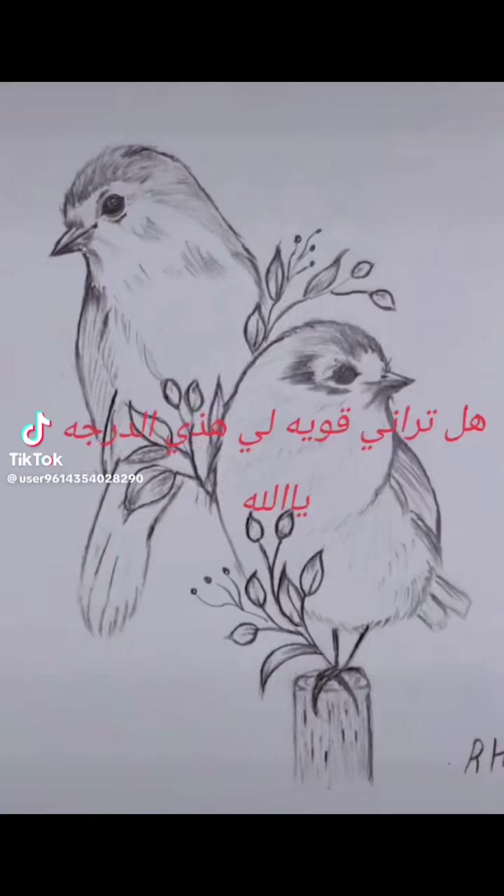 @Nur Şam ❤️❤️
