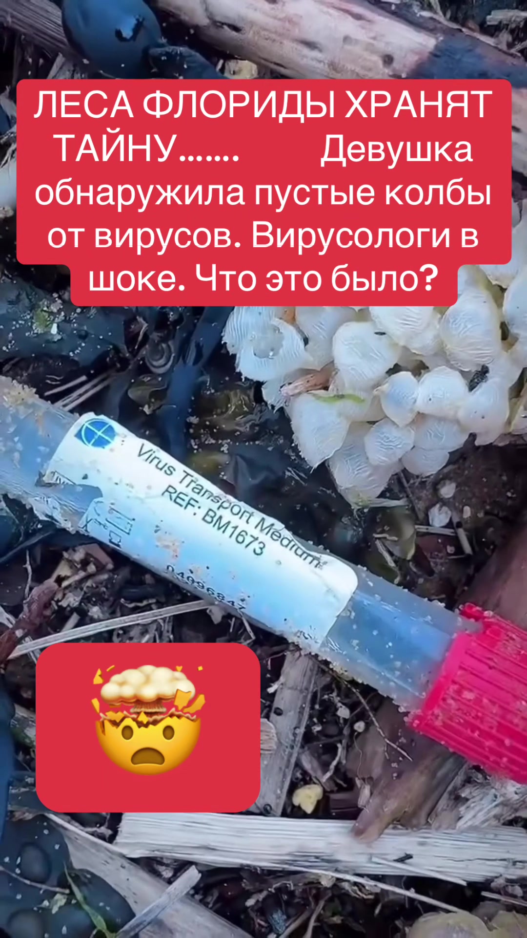 @shoblinskis