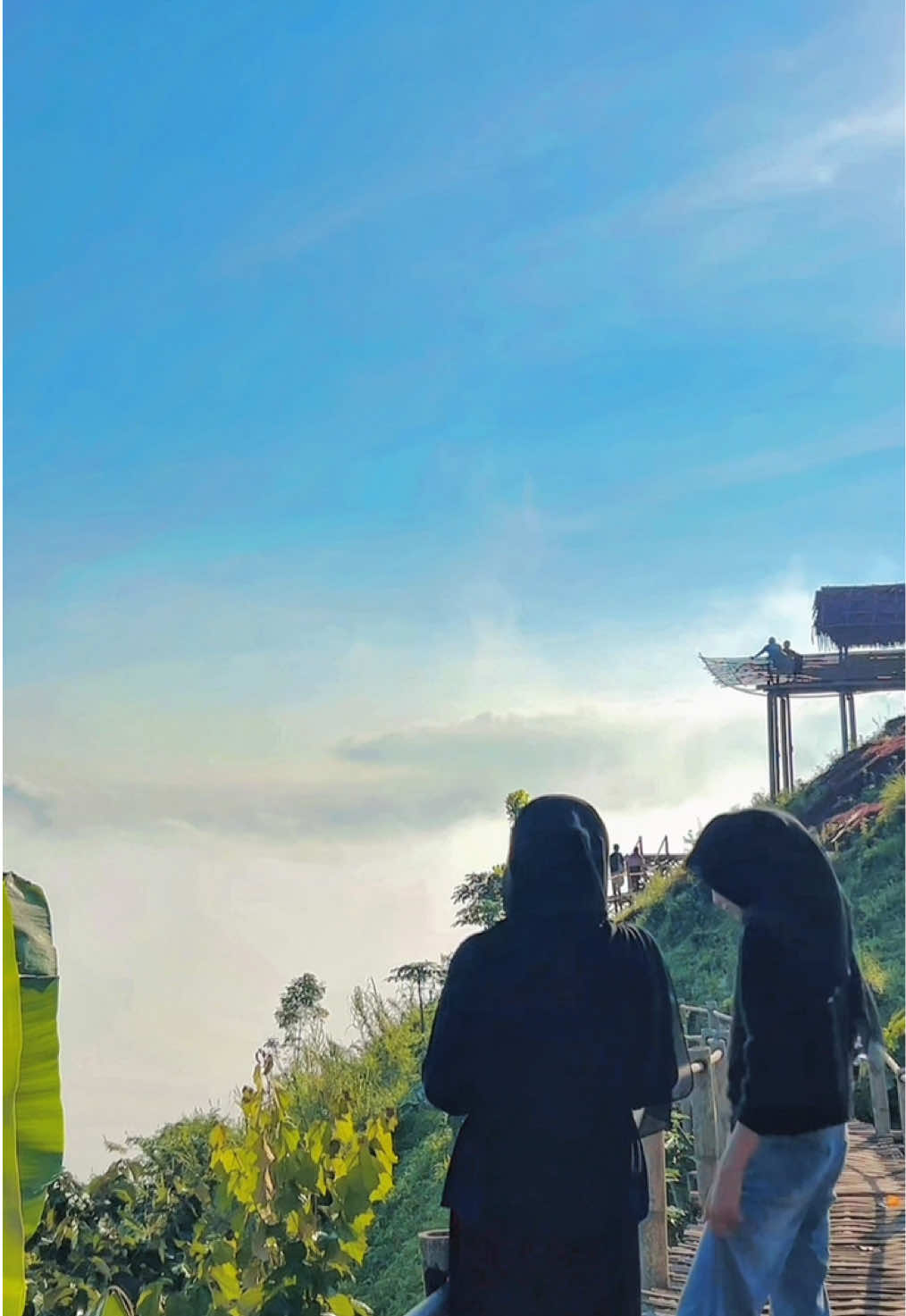 @ziyaaqq