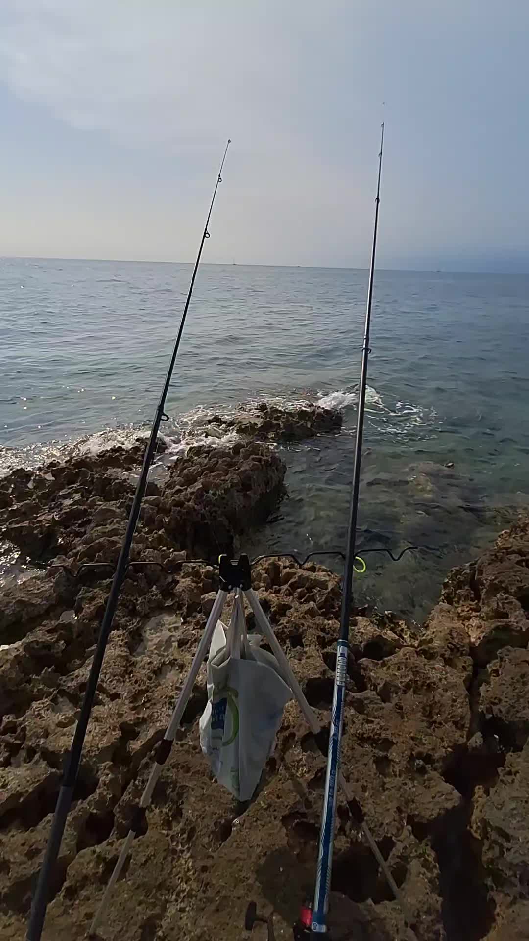 @Amet Arijeta Kurti