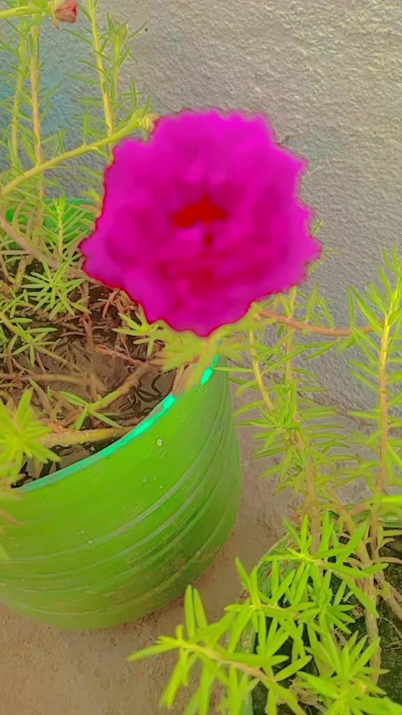 @☠️🔥§K🇵🇰