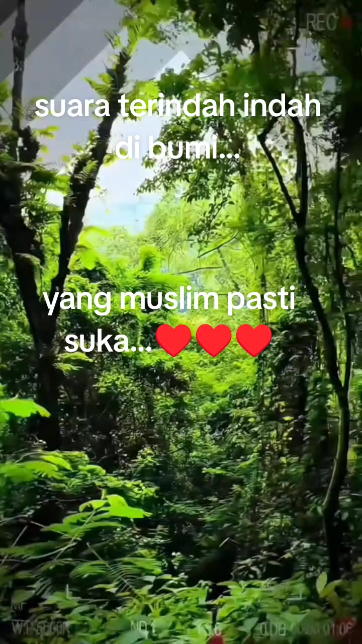 @Leo77