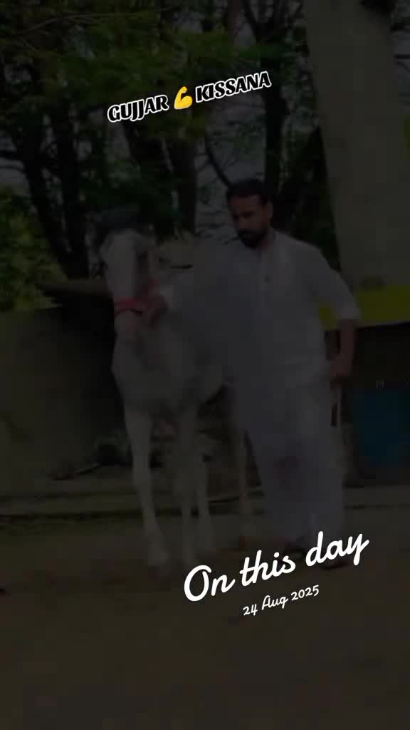@𝐆𝐔𝐉𝐉𝐀𝐑 𝐊𝐈𝐒𝐒𝐀𝐍𝐀55