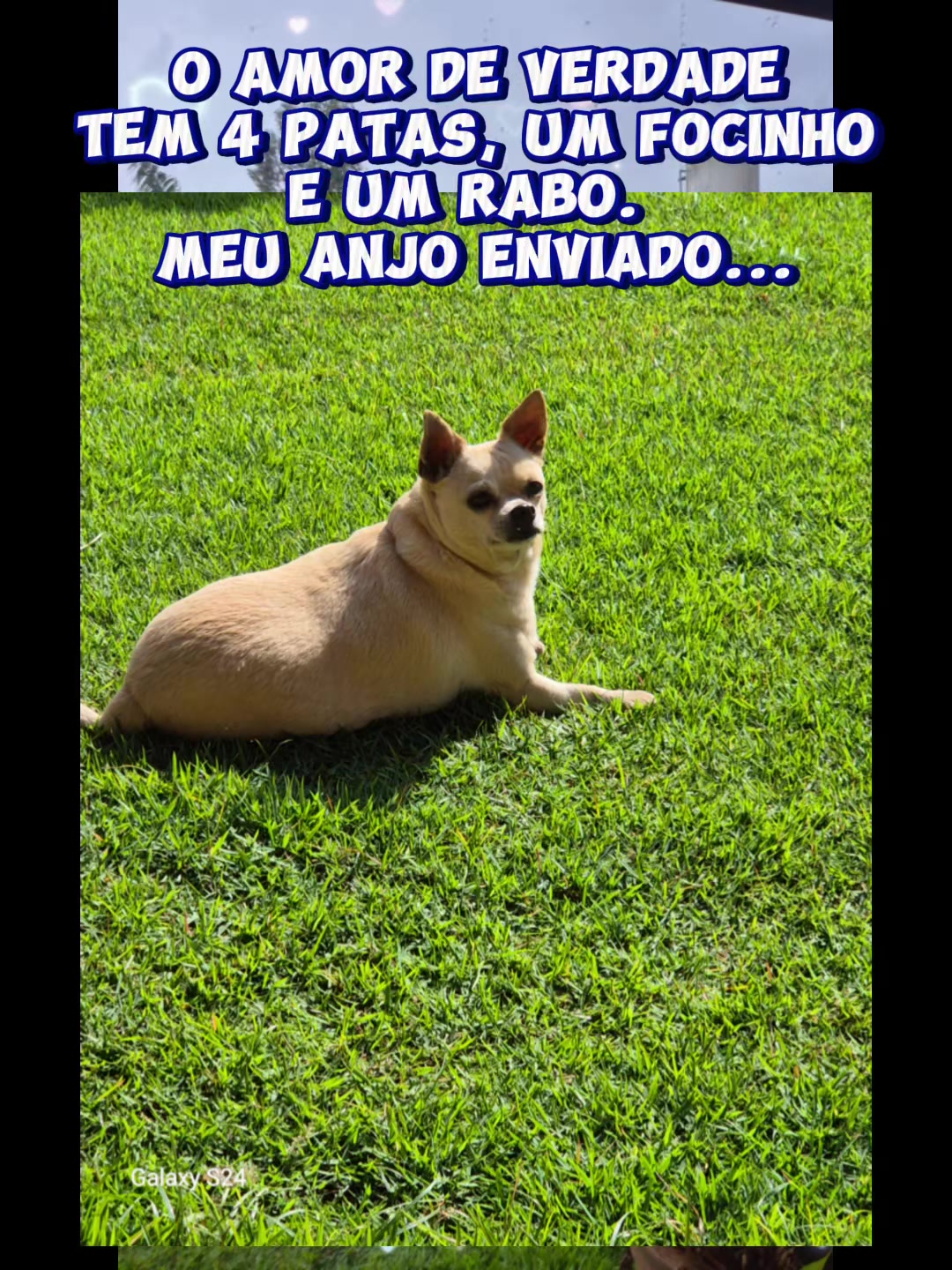 @izilda Ap De Araújo Bombonato