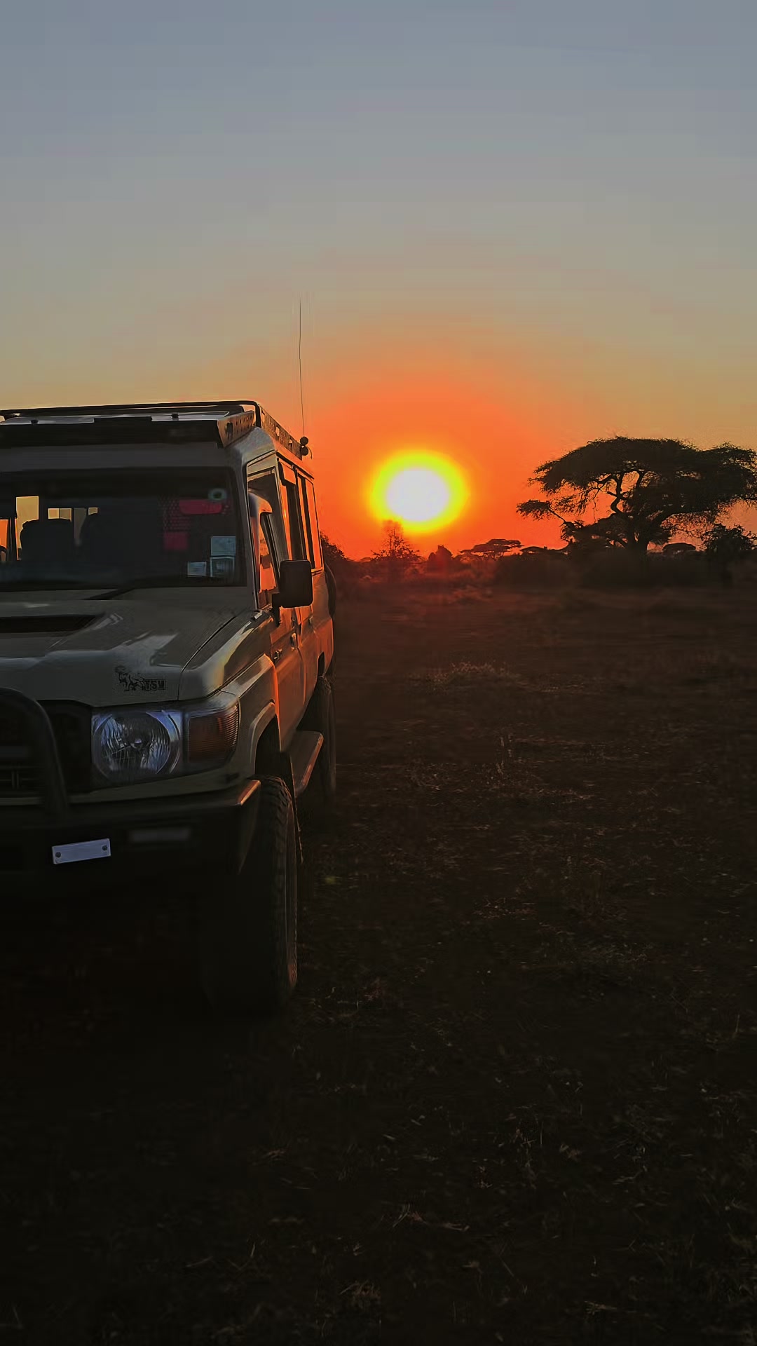 @Deno_wa_safari
