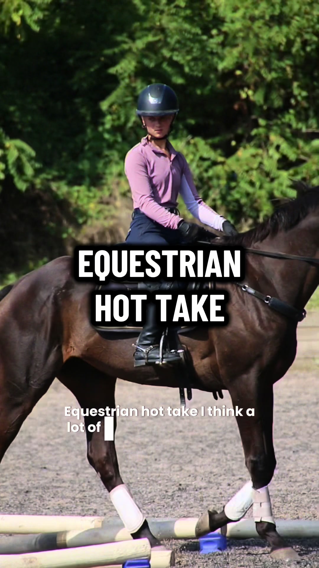@Thiandro Equestrian