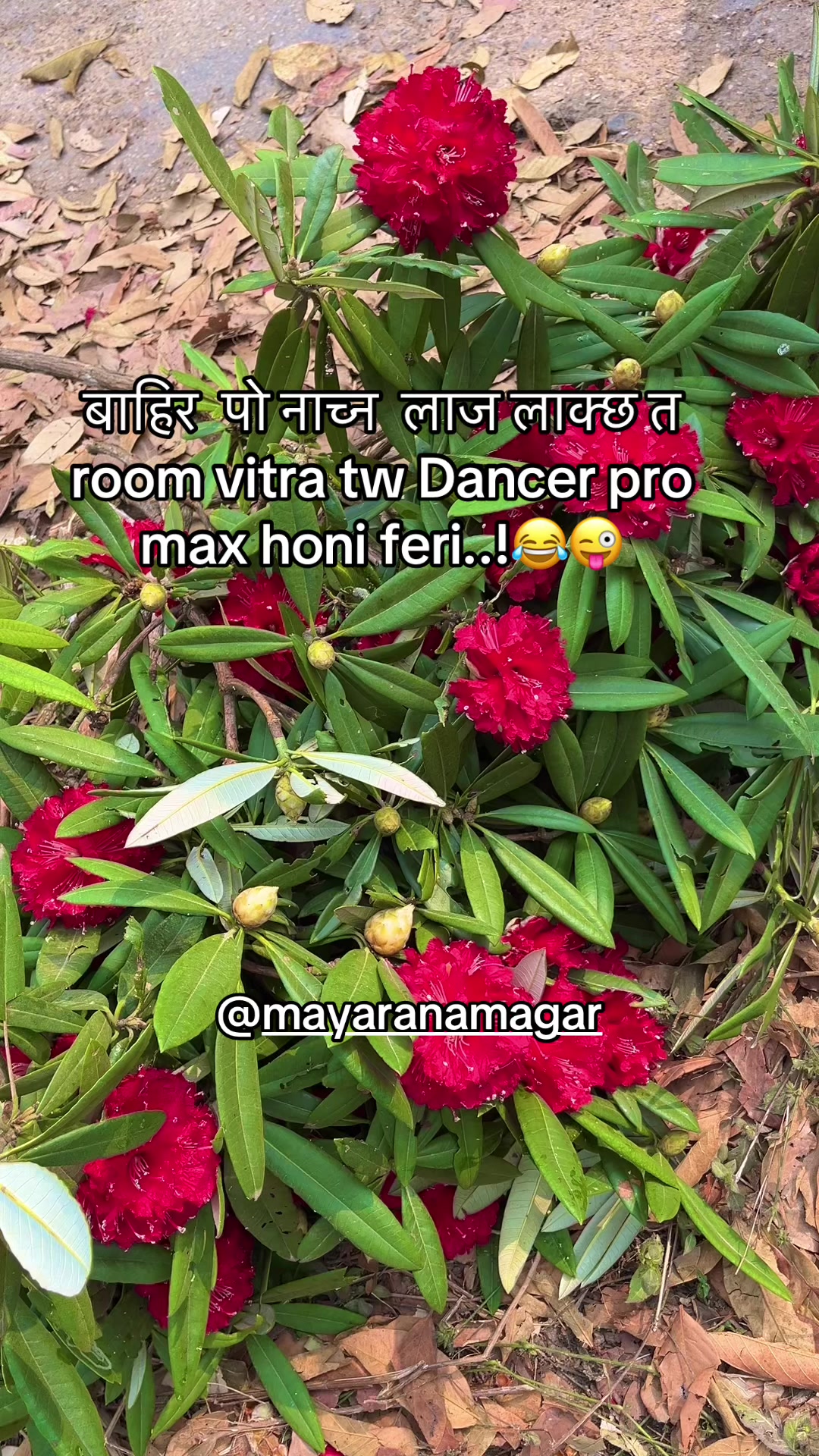 @mayaranamagar555