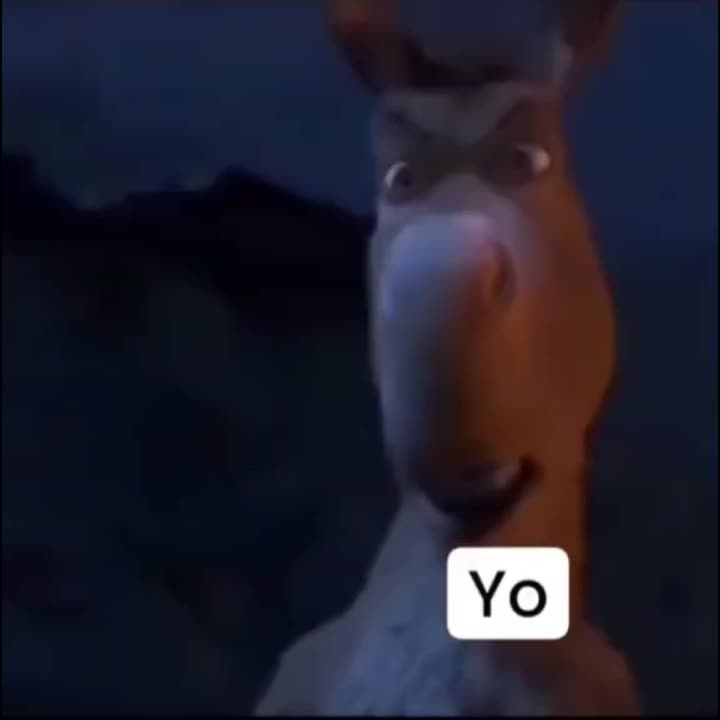 @Jessica Orria Vazque