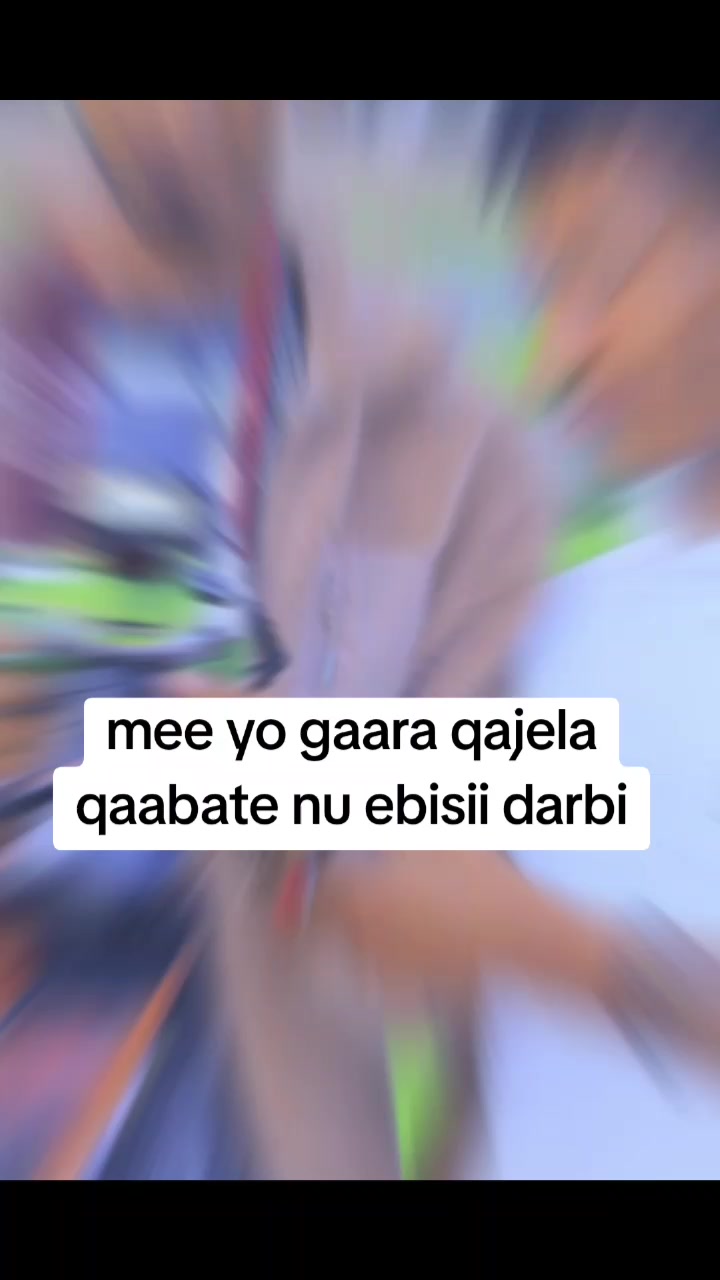 @geecho ambo