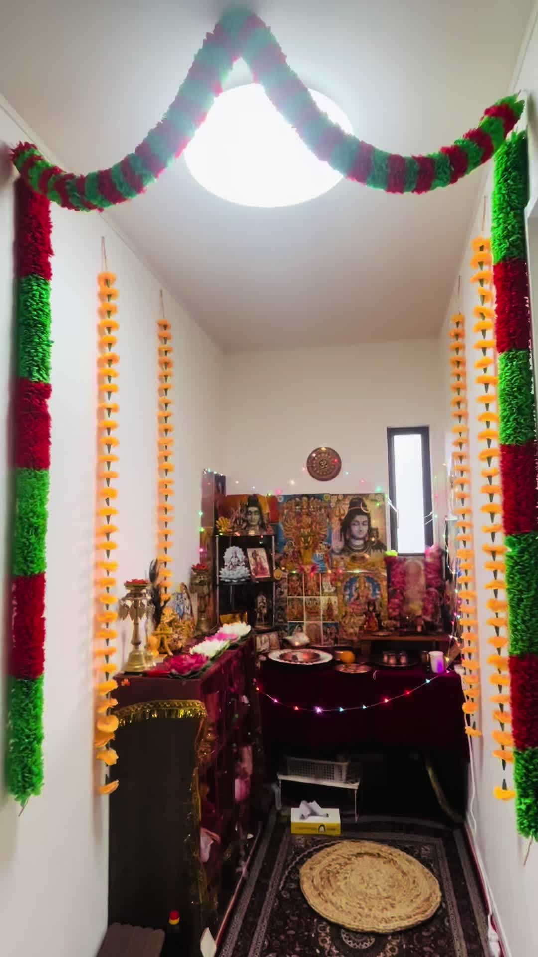 @binisha_nibi