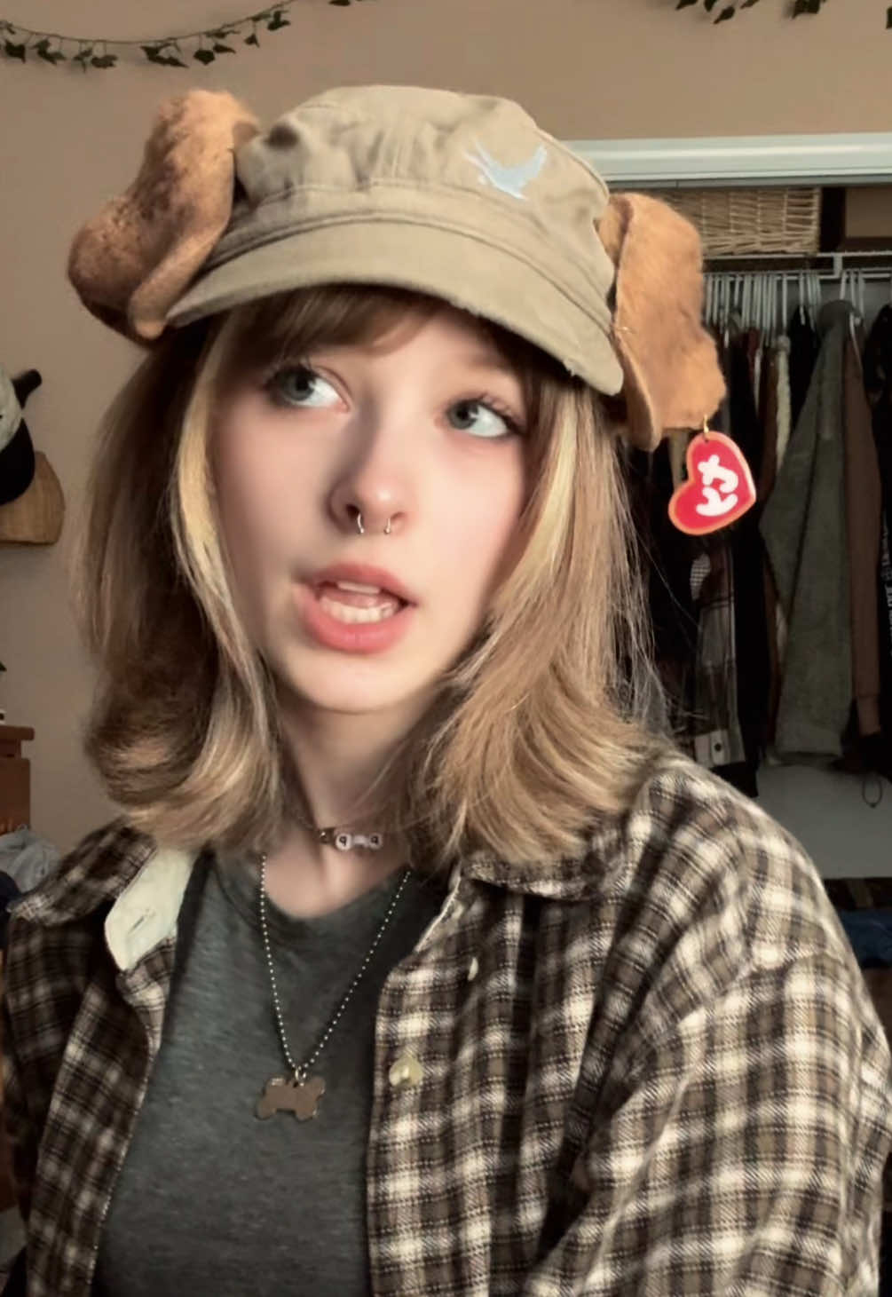 @hvsh.puppy