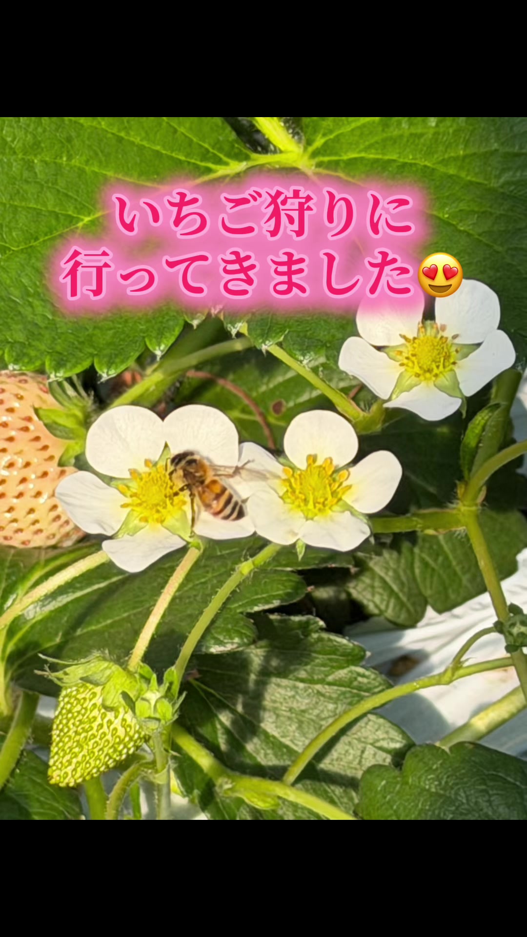 @クラフティ・モーメンツ
