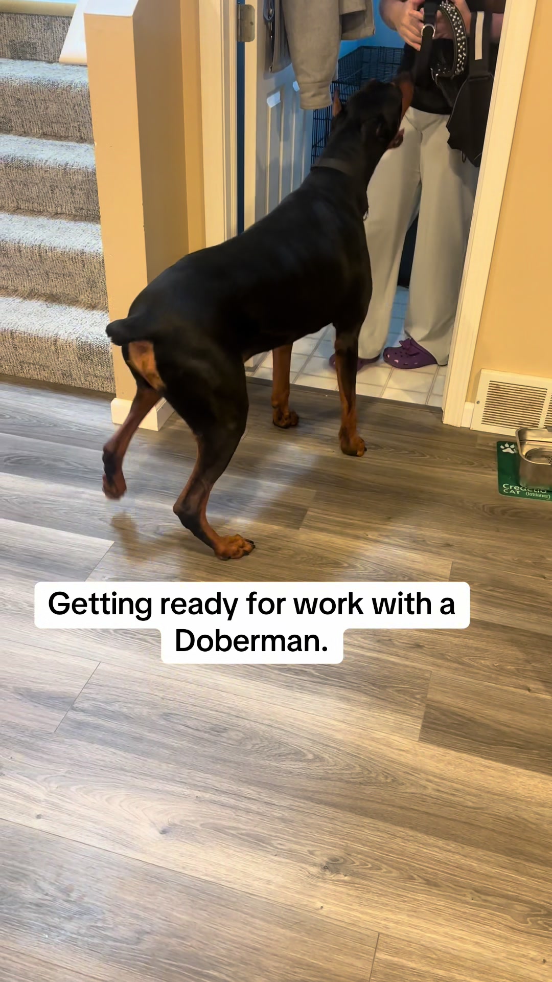 @The.Mobile.Vet.Tech