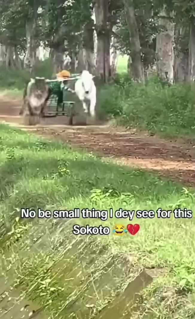 @thinking quotes ๐จ๐ฆ๐ช๐ซก๐