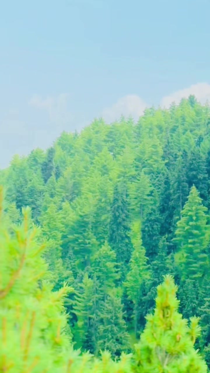 @༺デ═一 شہزادہ 一═デ༻