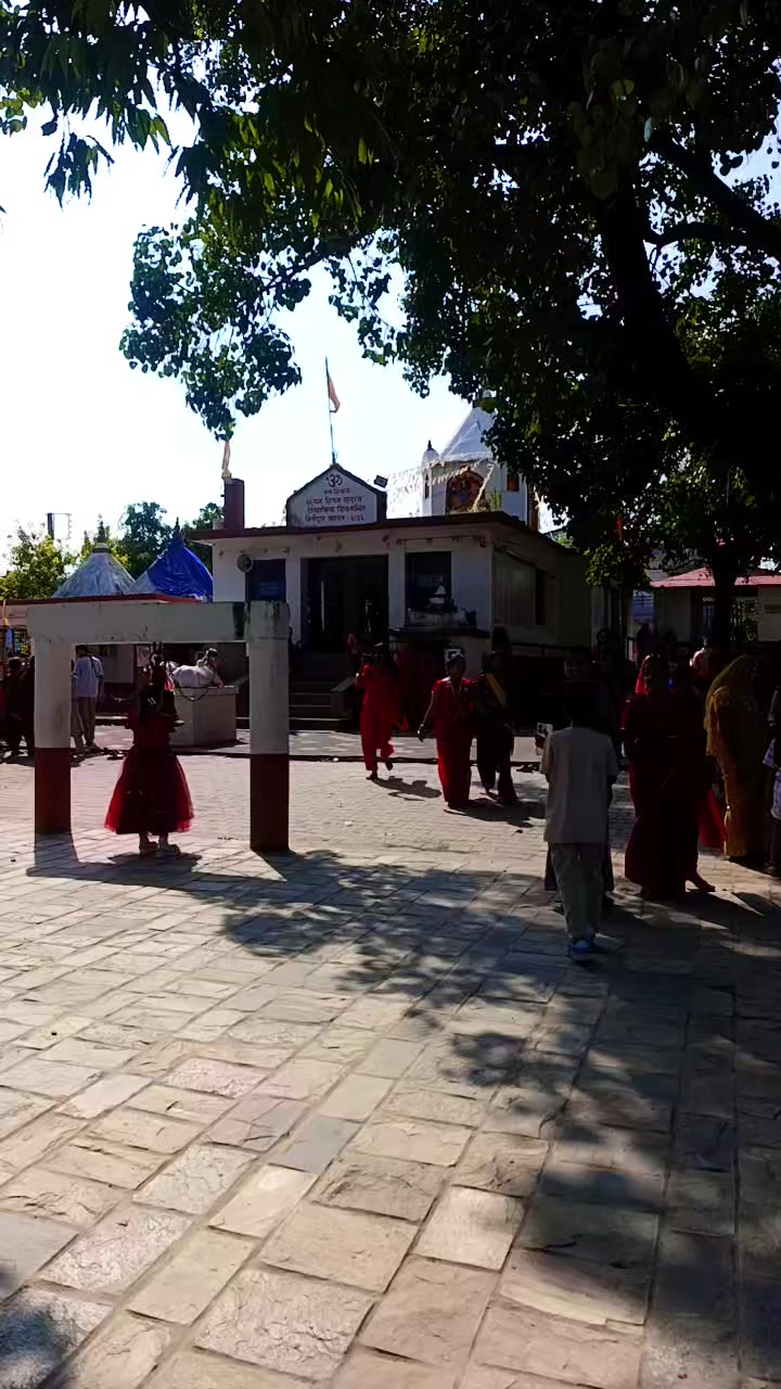 @mandirasharma439