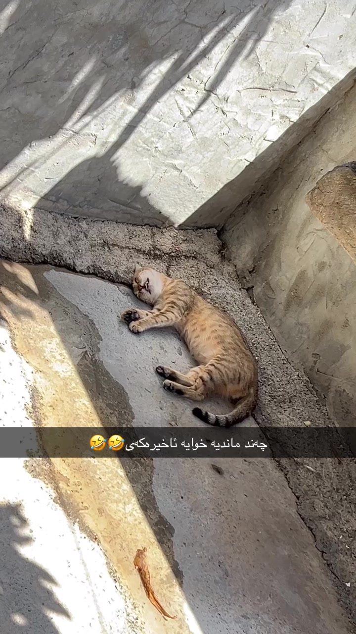 @﮼هەپی🤎.