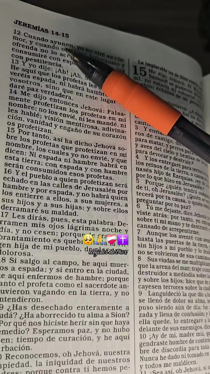 @Elegidos de Dios ✝️🙌