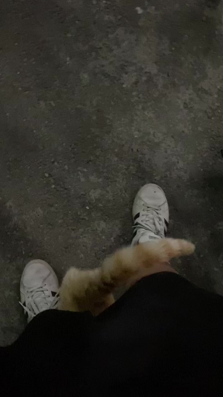 @ㅤ ︎ ︎ ︎ ︎ㅤ ︎ ︎ㅤ ︎ ︎ㅤ ︎ ︎ㅤ ︎ ︎