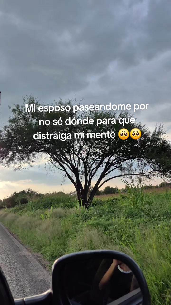 @Brenda Gálvez