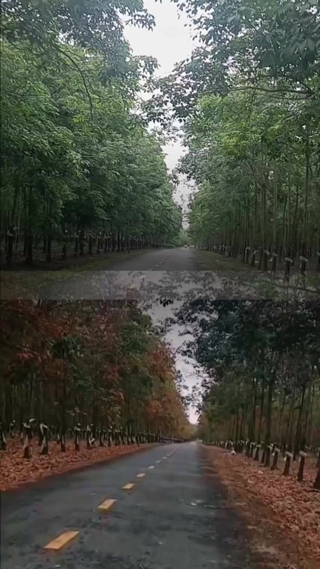 @Tạp h&oacute;a Khang Khang