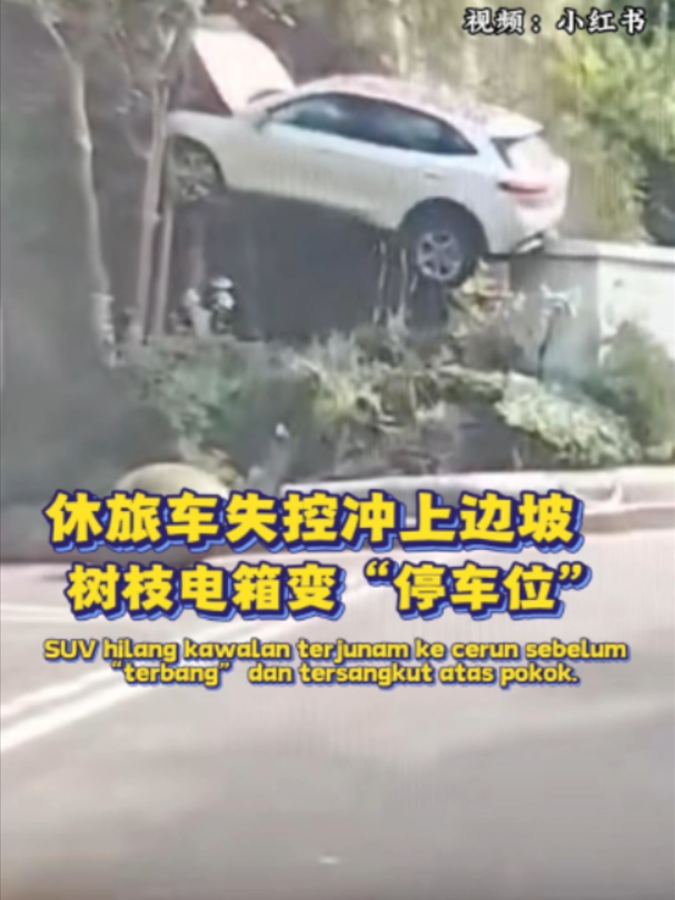 @中国报