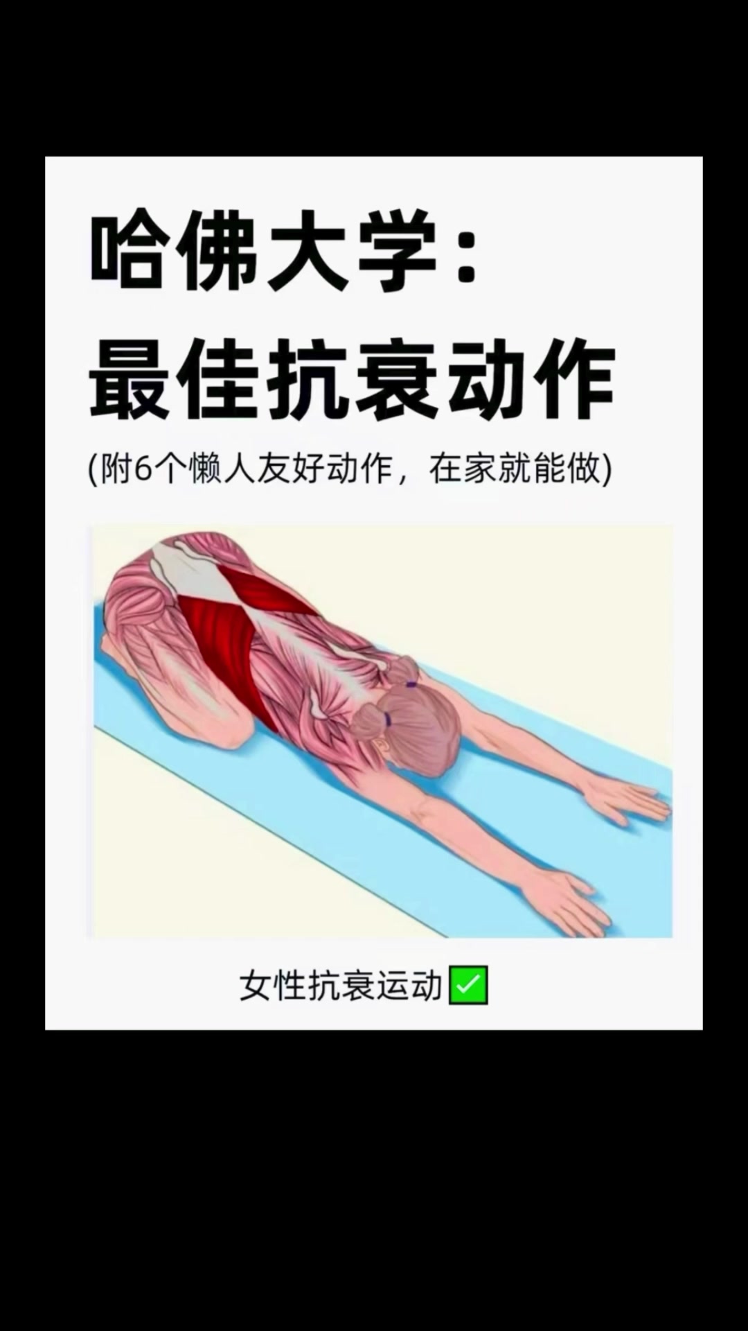 @澳中文传
