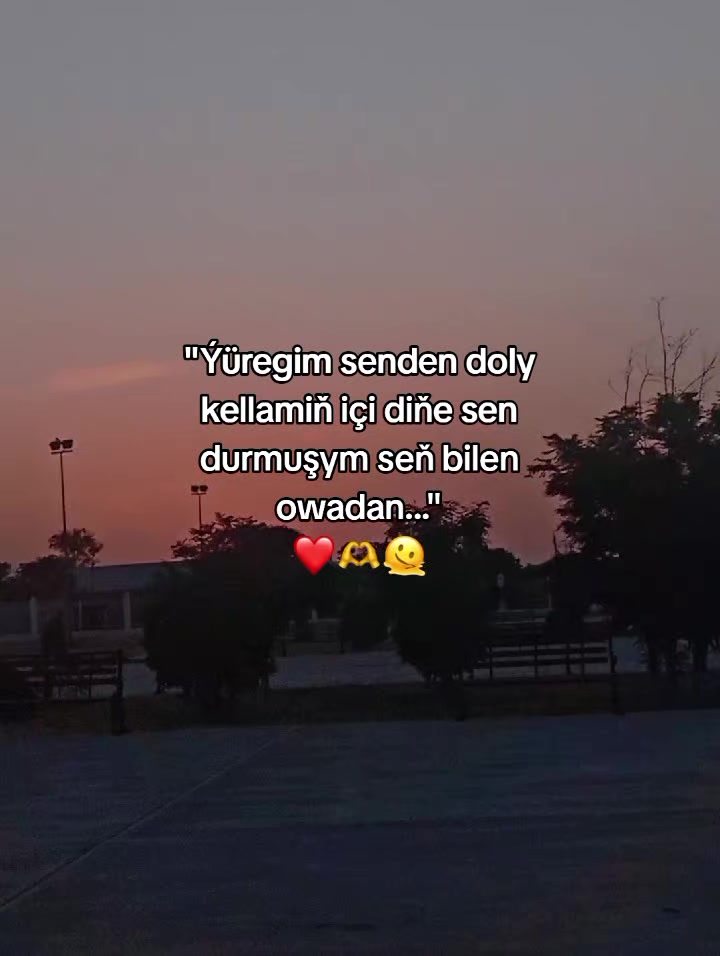 @𝙂𝙖𝙯𝙖𝙠𝙊𝙁𝙁🦈