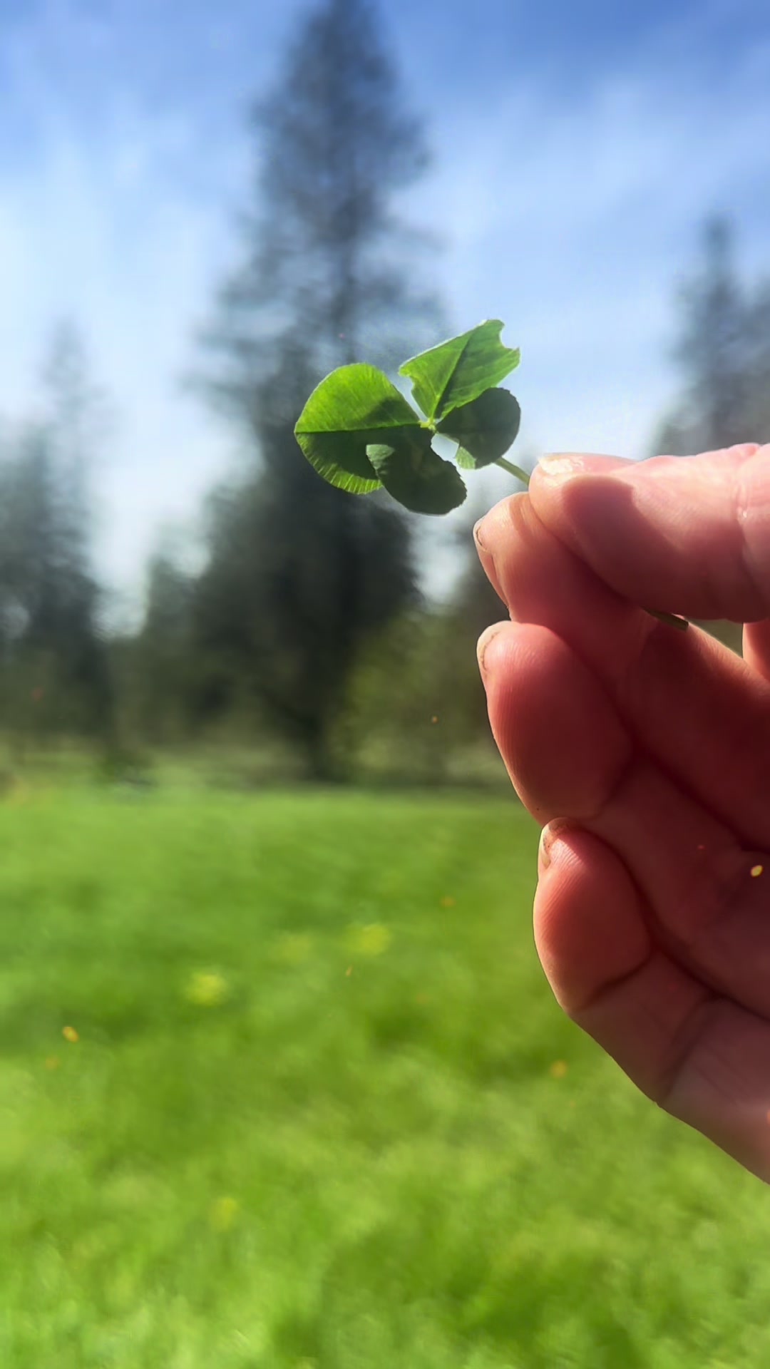 @Britt🍀